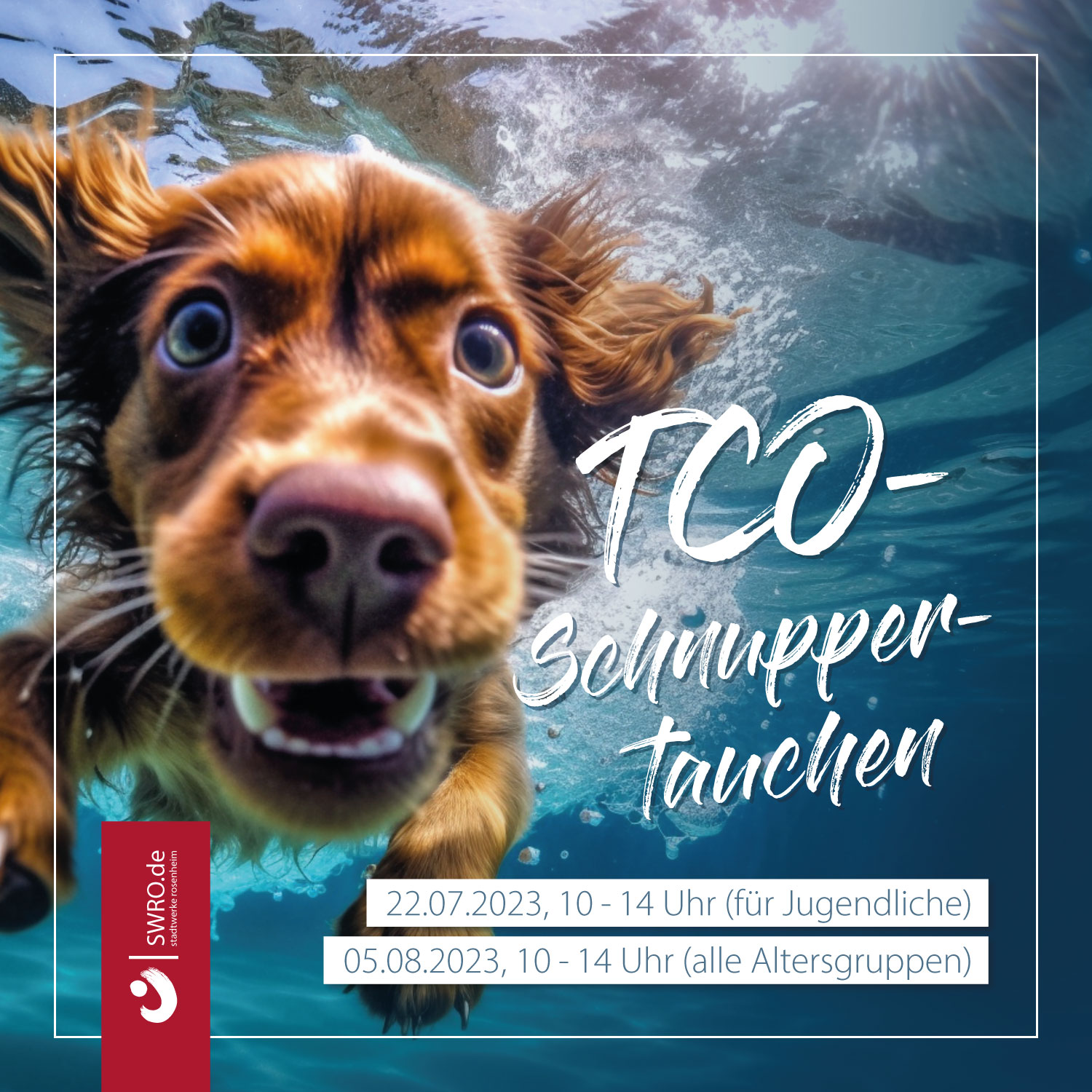 Hund der abtaucht, TCO Schnuppertauchen Freibad Rosenheim 