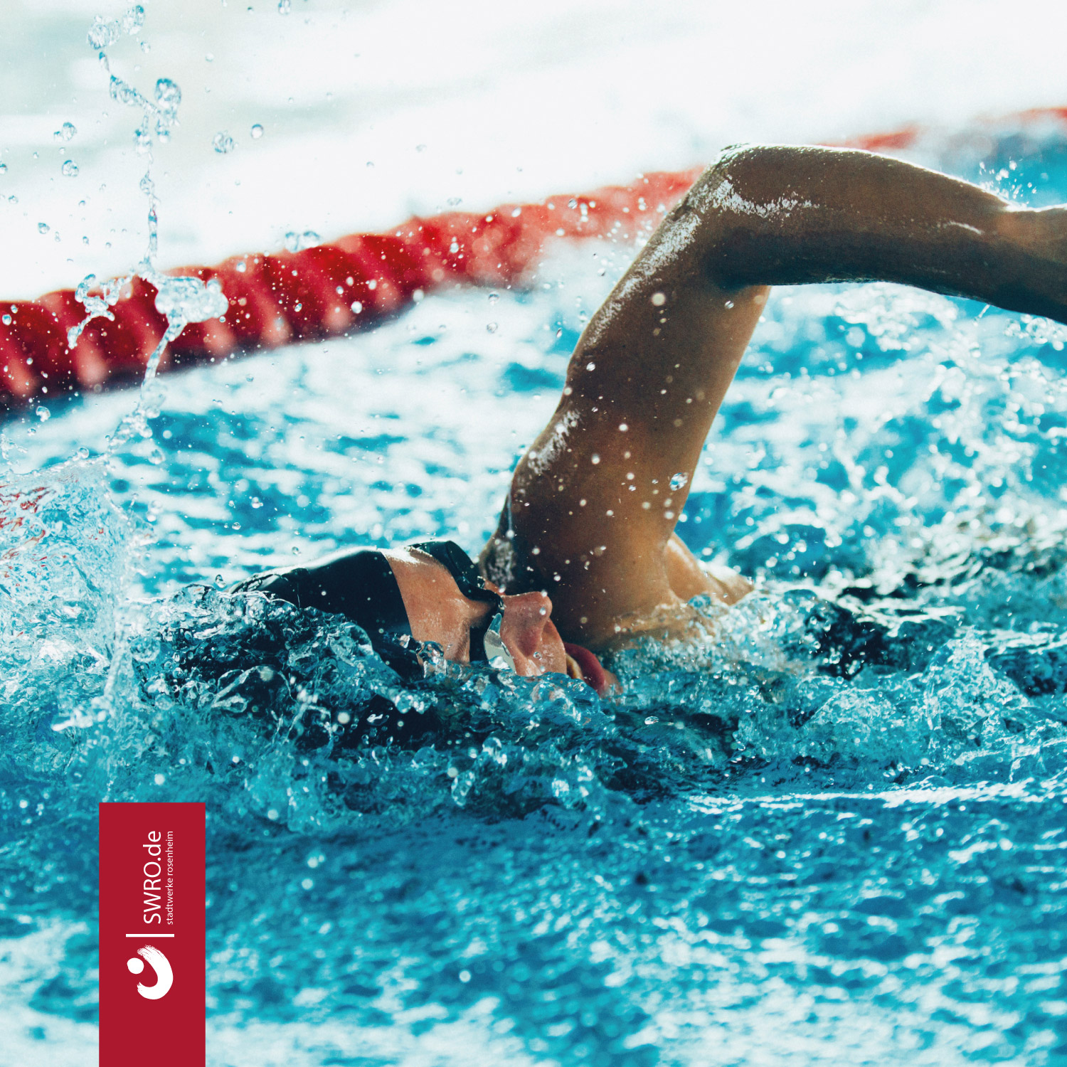 TSV 1860 Langstreckenschwimmen