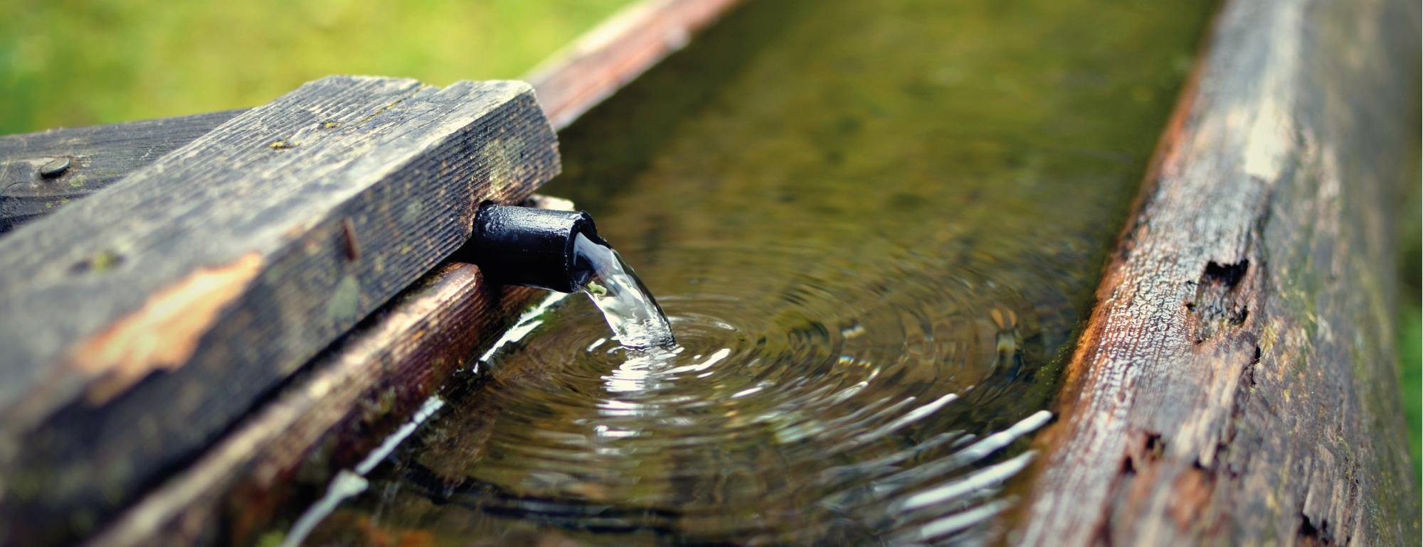 Wasser